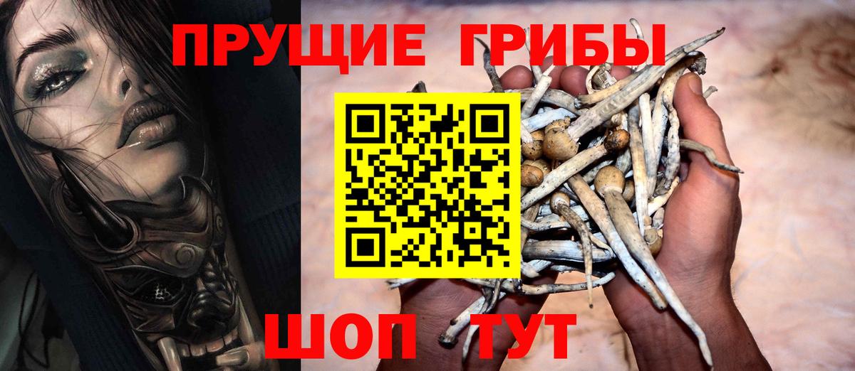 Зерноград  Галлюциногенные грибы GOLDEN TEACHER  Вход с VPN  Галлюциногенные грибы MAGIC MUSHROOMS 
